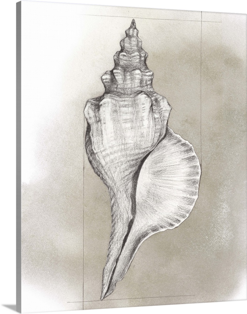 Shell Diagram I