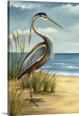 Bird Wall Art, Canvas Prints & More | Great Big Canvas