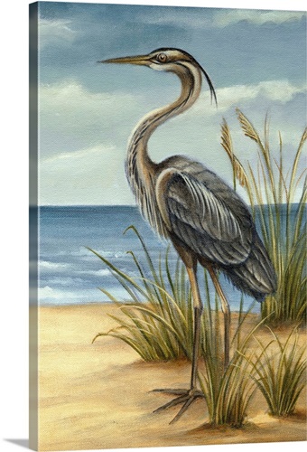 Shore Bird II | Great Big Canvas