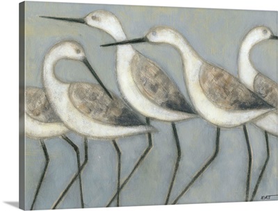 Shore Birds I