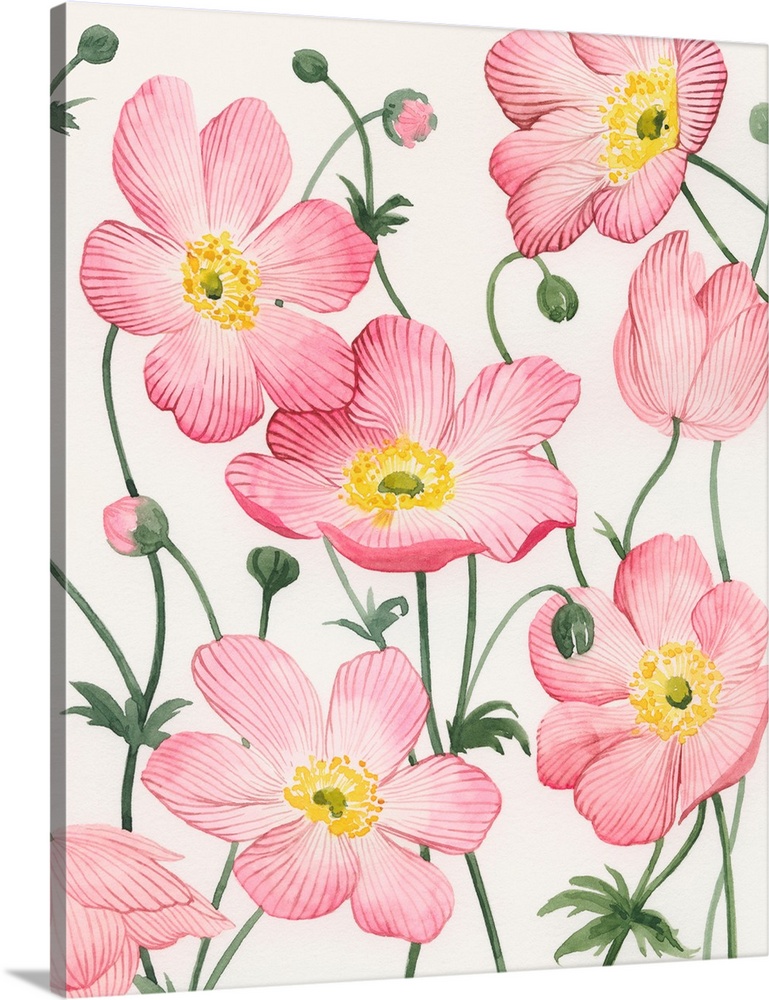 Sidewalk Anemones II