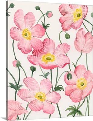 Sidewalk Anemones II