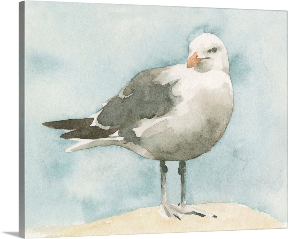 Simple Seagull I