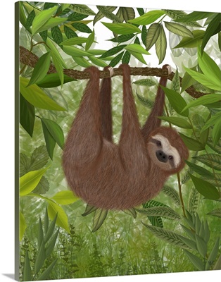 Sloth Hanging Around