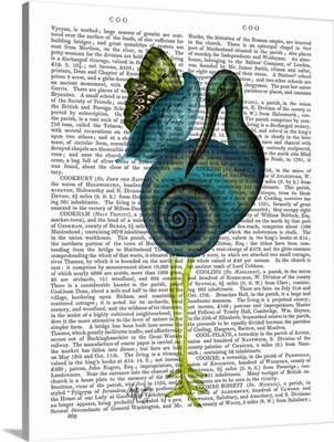 Snail Bird