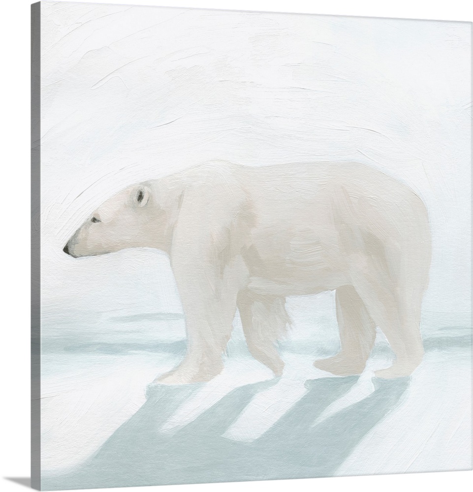 Snowswept II