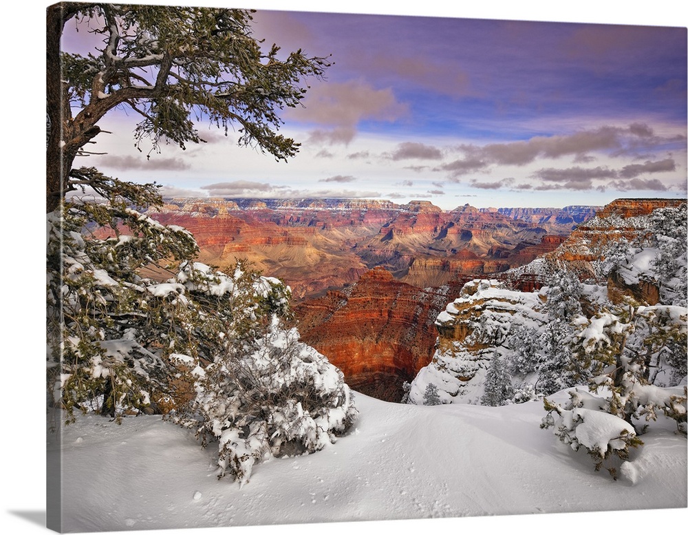 View of the Grand Canyon in Arizona under a blanket of fresh snow.