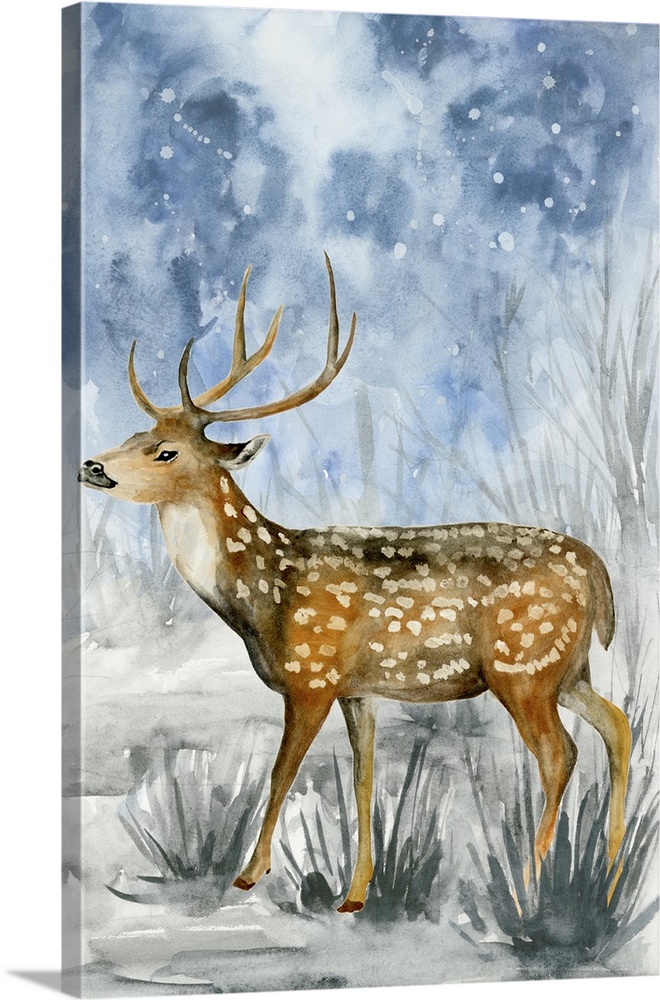 Contemporary watercolor painting of an elk walking outside on a snowy night.