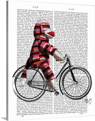 Sock Monkey on Bicycle