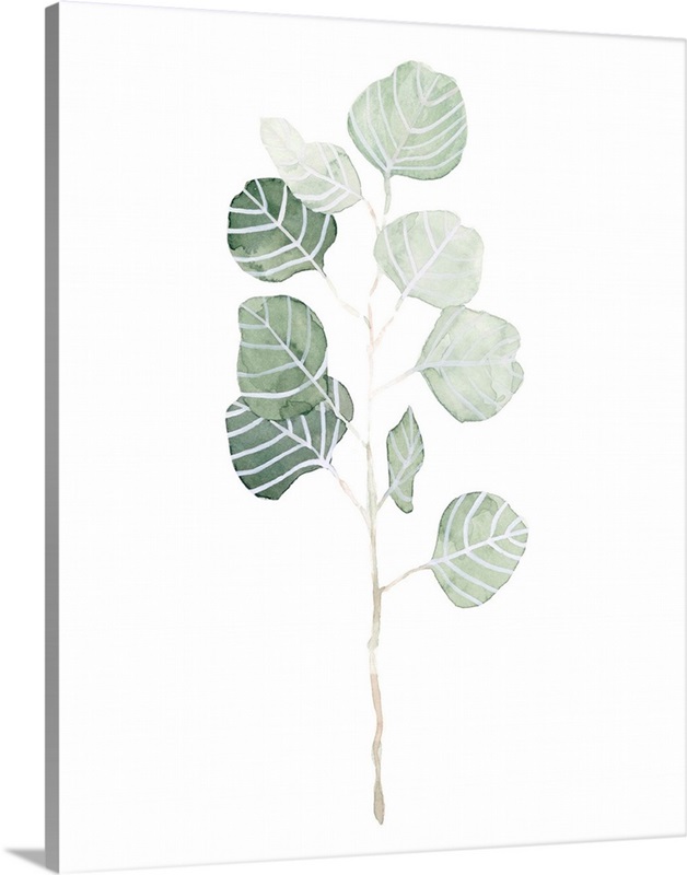 Soft Eucalyptus Branch I | Great Big Canvas