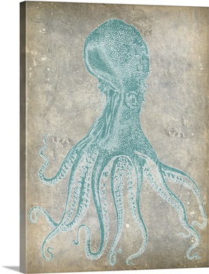 Spa Octopus II