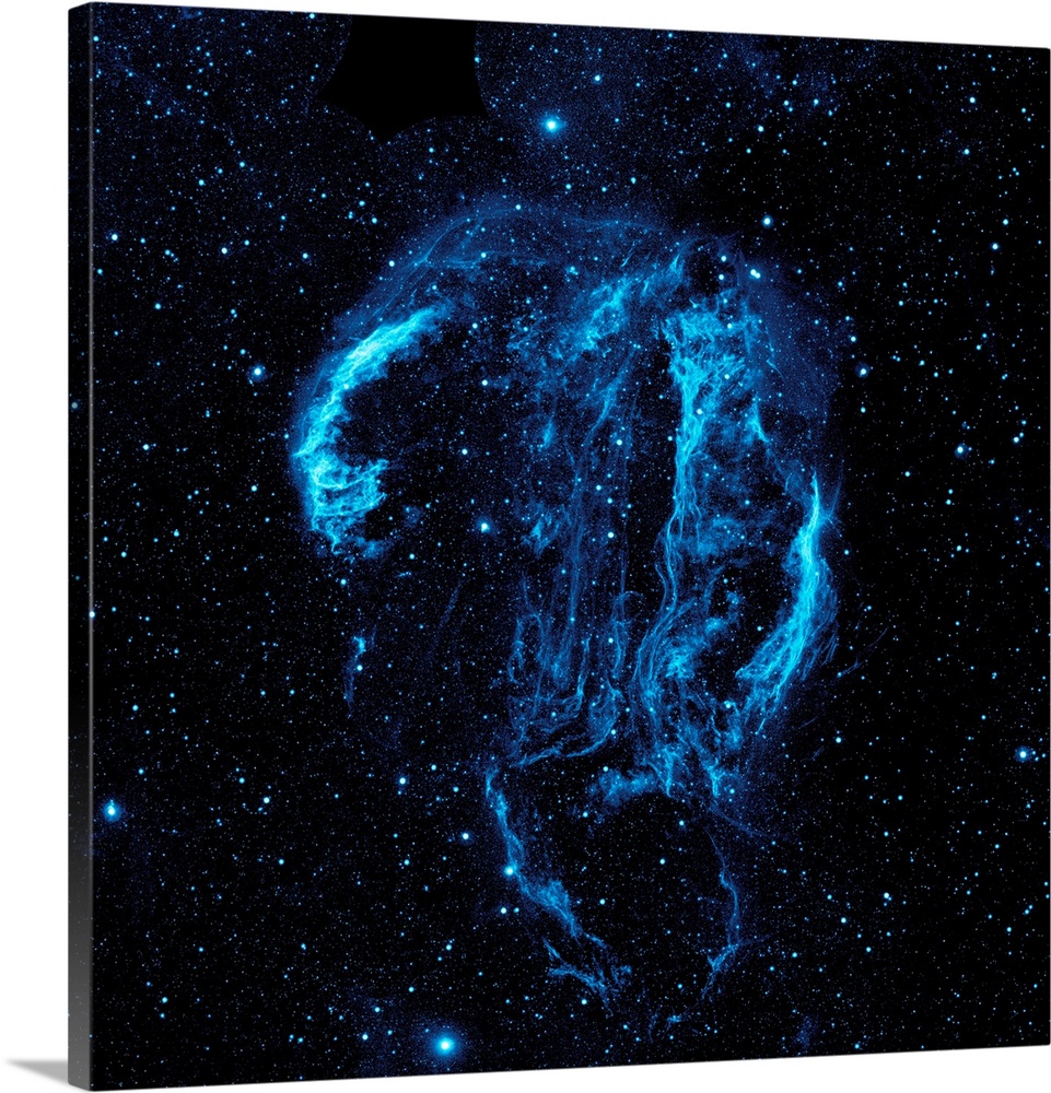 Wispy tendrils of hot dust and gas glow brightly in this ultraviolet image of the Cygnus Loop nebula, taken by NASA's Gala...