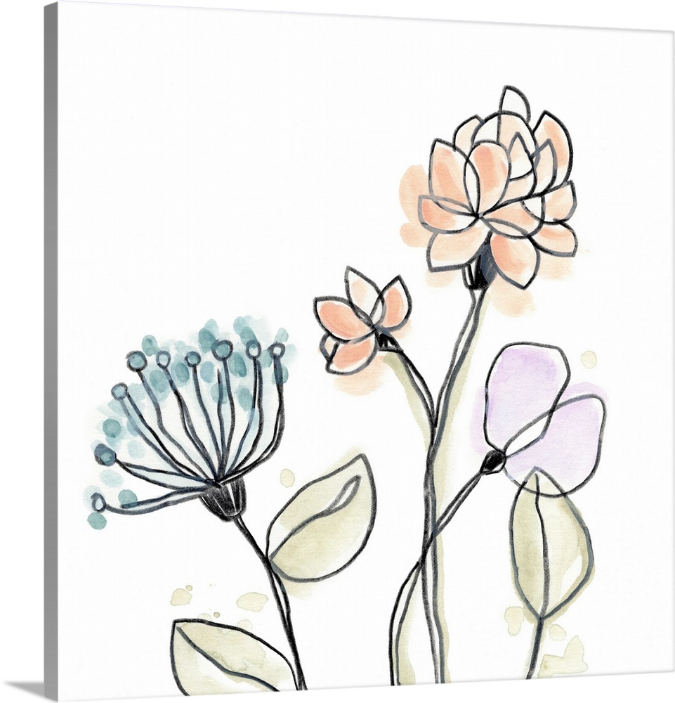 Blossom Sketches I | Canvas Wall Art Print | Great Big Canvas | 16x16