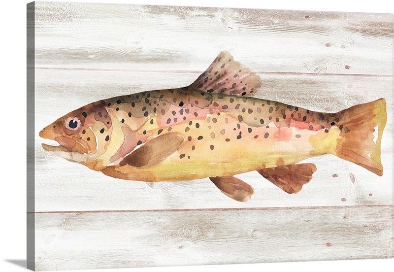 Trout Catch Wall Art: Canvas Prints, Art Prints & Framed Canvas