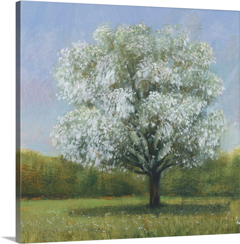 Spring Blossom Tree II | Great Big Canvas