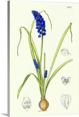 Spring Bounty IV