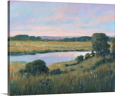 Spring Marsh II