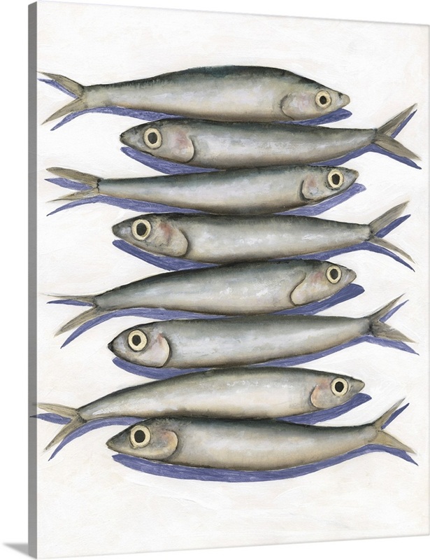 Stacked Anchovy I | Great Big Canvas