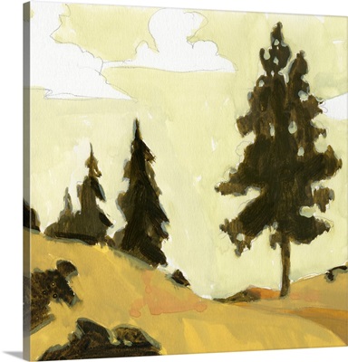 State Park Pine Sketch I
