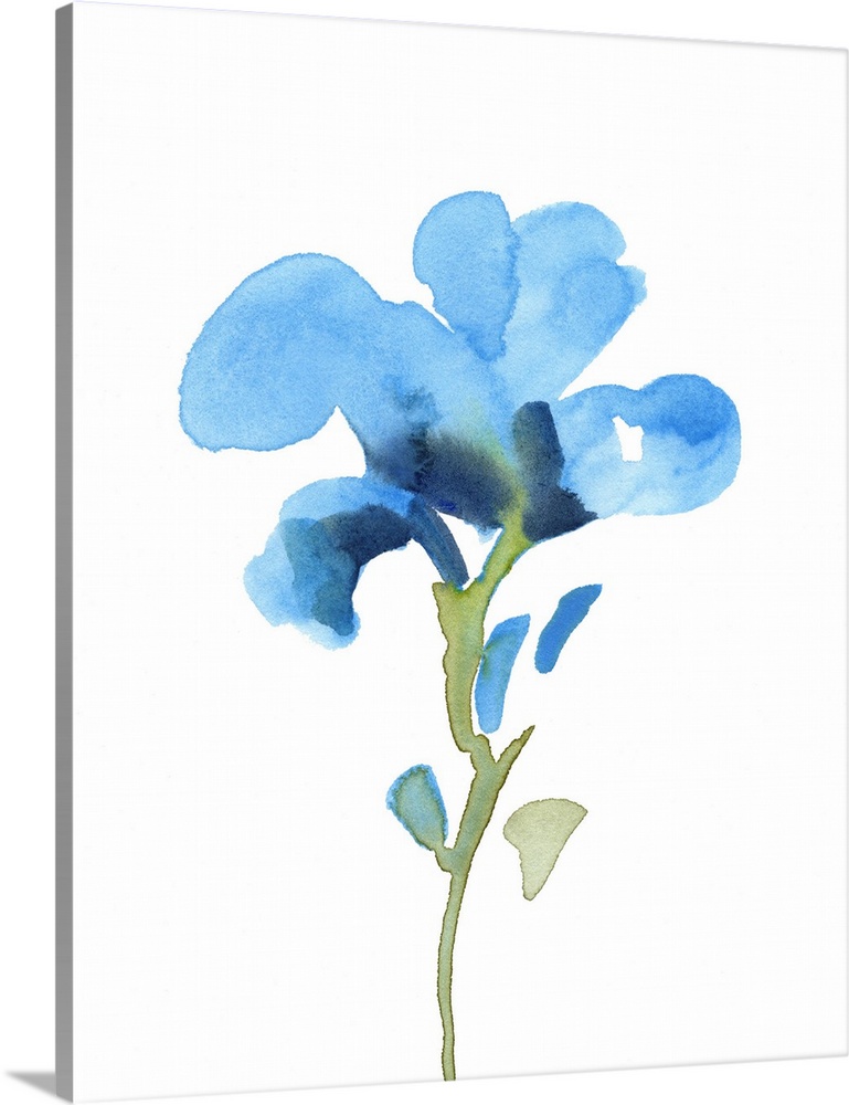 Striking Blue Iris I Wall Art, Canvas Prints, Framed Prints, Wall Peels ...