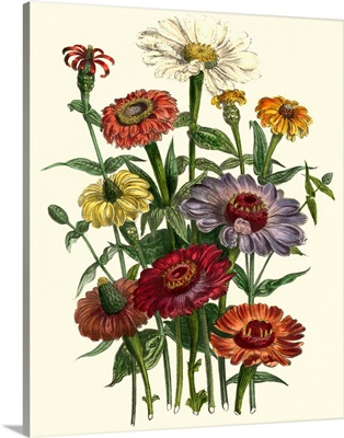 Summer Flowers III