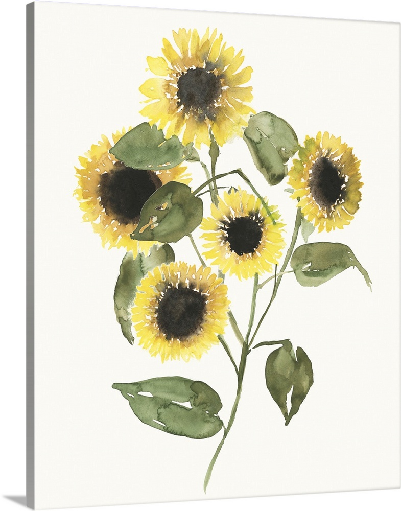 Sunflower Composition II