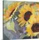 image thumbnail of Square watercolor painting of large sunflower blooms.