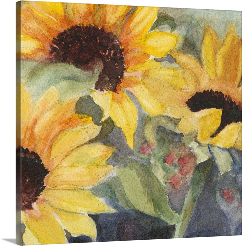 Square watercolor painting of large sunflower blooms.