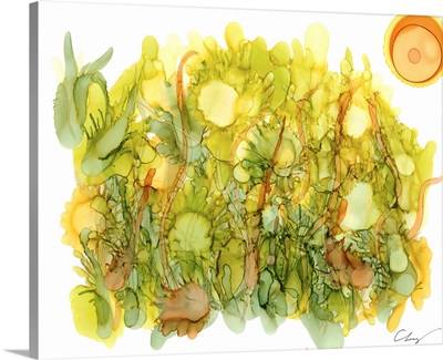 Sunlit Poppies IV