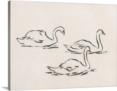 Swan Sketch II