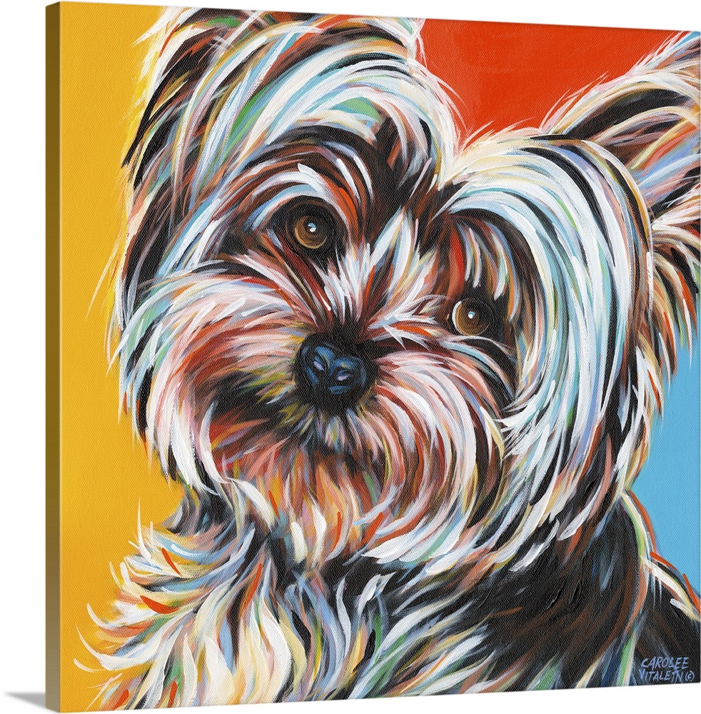 Contemporary portrait of a Yorkshire Terrier with fluffy fur.