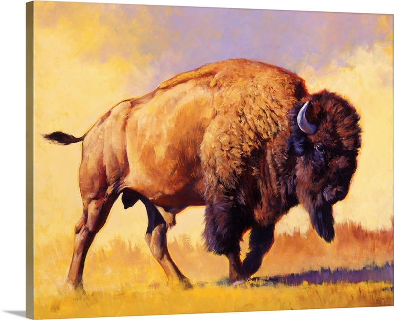 Tatanka | Great Big Canvas