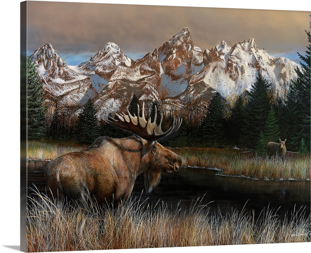 Painting of a moose standing in tall grass next to a river with a rugged mountain range in the background.