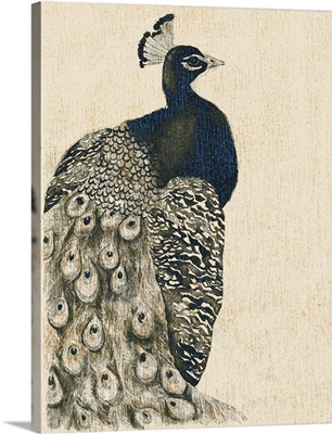Textured Peacock I