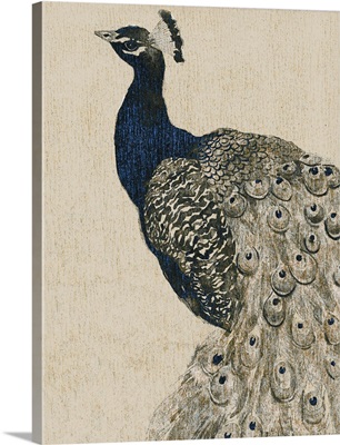 Textured Peacock II