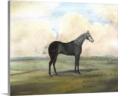 The Kicker, A Steel Grey Racehorse