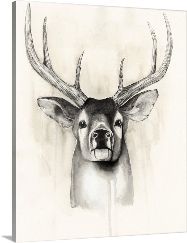 Watercolor portrait of a deer in neutral hues.