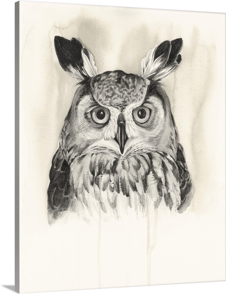 Watercolor portrait of an owl in neutral hues.