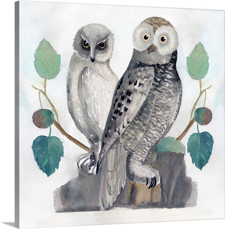 Traditional Owls I Wall Art, Canvas Prints, Framed Prints, Wall Peels ...