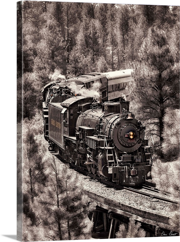 Photograph of a locomotive train riding through a forest altered to a vintage effect.