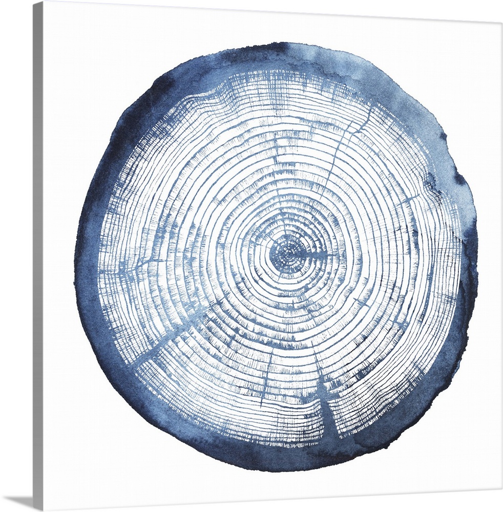 Watercolor impression of a tree trunk cross-section.