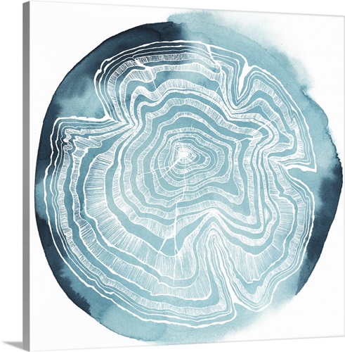 Tree Ring Overlay IV | Great Big Canvas