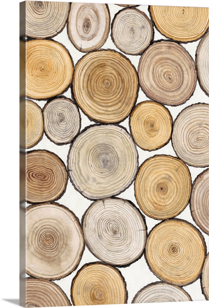 Assortment of tree trunk cross-sections with prominent rings.