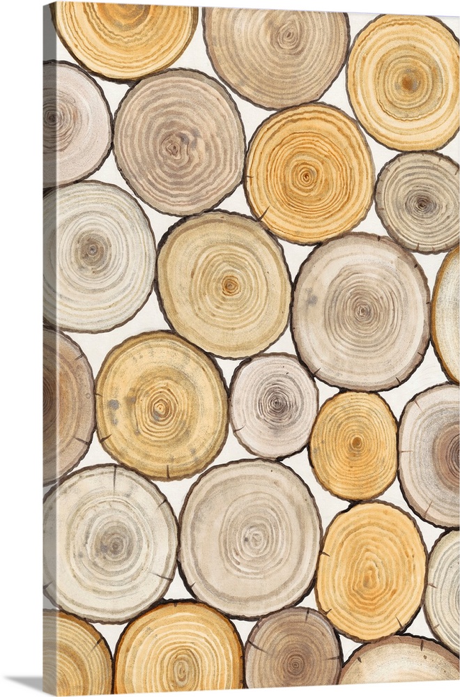Assortment of tree trunk cross-sections with prominent rings.