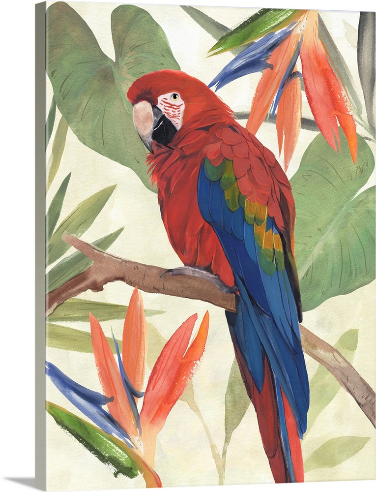 Tropical Parrot Composition II