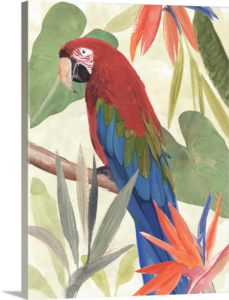 Tropical Parrot Composition III