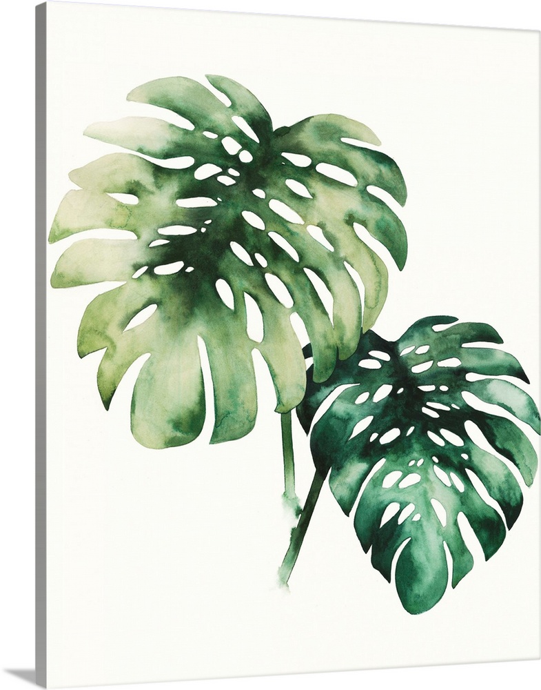 Watercolor artwork of two broad green palm fronds.