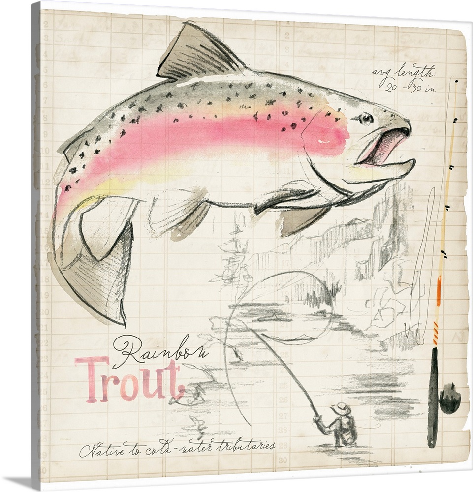 Trout Journal I
