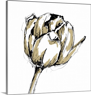 Tulip Sketch II