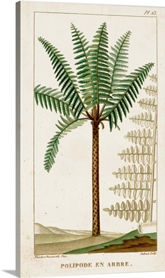 Turpin Exotic Palms III